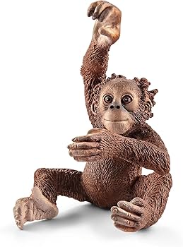 リアルフィギュア　動物フィギュア　10個　 Safari Schleich 61rnoACSJaL._UF350,350_QL50_.jpg